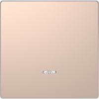 SE Merten D-Life Шампань Клавиша 1-ая с линзой для LED модуля