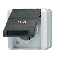 JUNG Штепсельная розетка SCHUKO с полем для надписи для накладного монтажа IP44