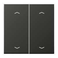 JUNG Клавиши для двойной кнопки BCU антрацит