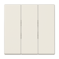JUNG Беж Клавиша 3-ая для трёхклавишного переключателя арт. 5306EU