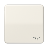 JUNG CD 500/CD plus Бежевая Клавиша 1-ая с символом ОСВЕЩЕНИЕ