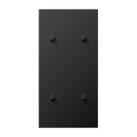 JUNG LS1912 Dark Центральная плата, 2 поста, для вертикальной установки, тумблеры 2+2,цилиндр; метал. исполнение