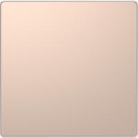 SE Merten D-Life Шампань Клавиша 1-ая