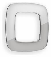 Рамка OMEGA Radian (Серебро Стекло органическое) 1-ая OF320401