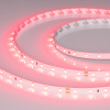 Arlight Лента RT-A60-8mm 24V Ruby (4.8 W/m, IP20, 5m) (-)