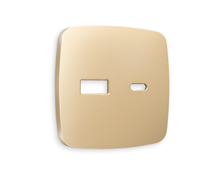 Лицевая панель OMEGA (Шампань) для розетки 2USB тип A+C QUANT OP6110