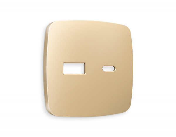 Лицевая панель OMEGA (Шампань) для розетки 2USB тип A+C QUANT OP6110