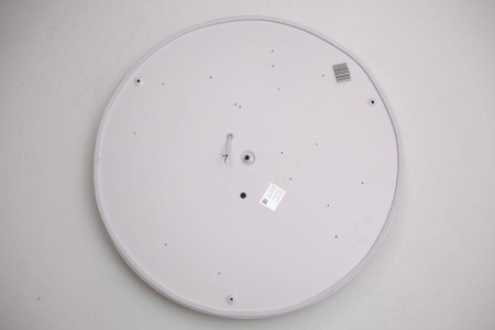 Потолочный светодиодный светильник Escada 10254/S LED