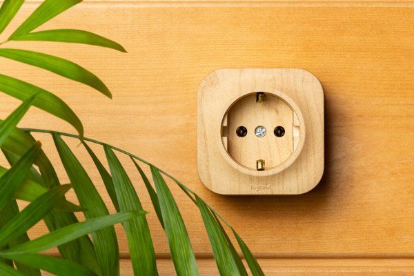 Legrand Quteo Сосна Розетка с/з