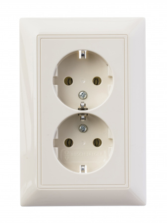 ABB BJB Basic 55 Беж Розетка 2-ая с/з моноблок