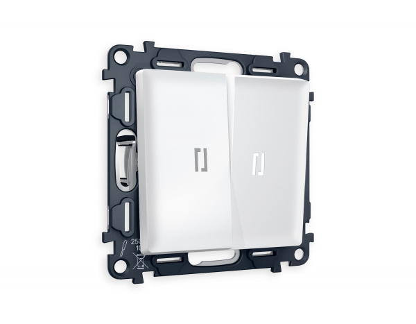 Комплект механизма 2-клавишного выключателя с подсветкой 5600K ALFA MA124015 Белый матовый QUANT