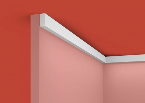 Рейка RX001, 25х12, 2000мм, Экополимер/30