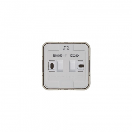 SE Blanca наруж Беж Выключатель 1-клавишный (cх.1) с подсветкой, изолир. пластина 10А,250B