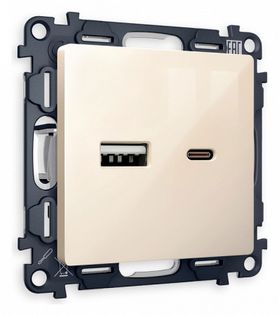 Комплект механизма розетки ALFA MA311010 Бежевый глянец 2USB A+C 20W быстрая зарядка QUANT