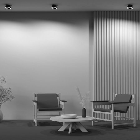 Трековый светильник Single phase track system UNITY TR044-1-12W3K-B Maytoni Rim