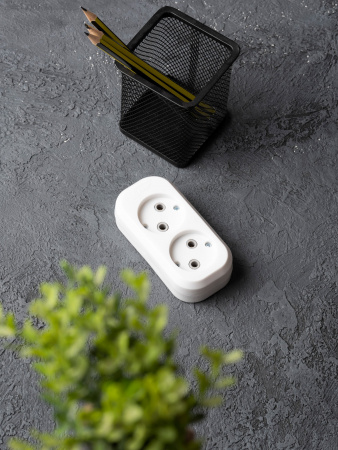 EKF PROxima Колодка 2 гн. 10А 2,2кВт б/з Эксперт