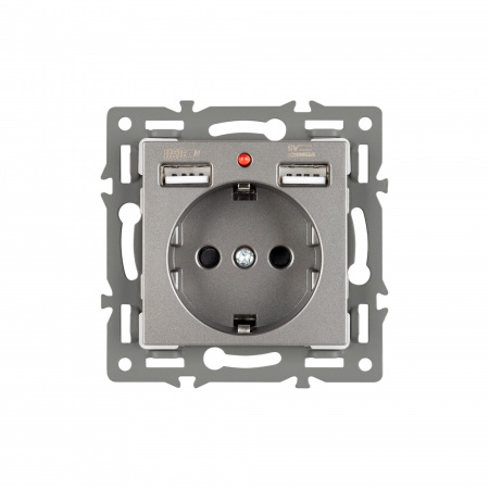 Arlight Механизм розетки с USB зарядкой SCT-MUAA-PL-GR (250V, 16A) (-)