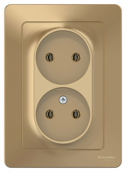 SE Blanca внутр Титан Розетка 2-ая б/з без шторок, 16А, 250В