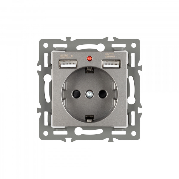 Arlight Механизм розетки с USB зарядкой SCT-MUAA-PL-GR (250V, 16A) (-)