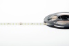 Donel Светодиодная лента SMD, 10мм, 12W/m, 3000K, 1842 Lm/m, DC24V, CRI>85, IP20, DN18391WWRA85