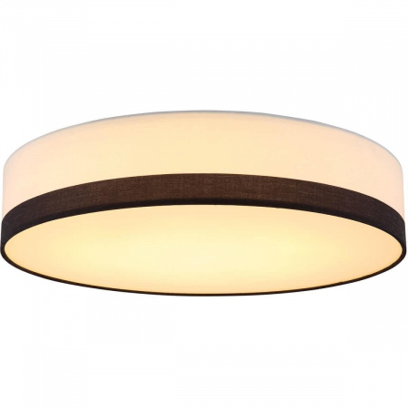 Потолочный светодиодный светильник Globo Maggy 15385D2