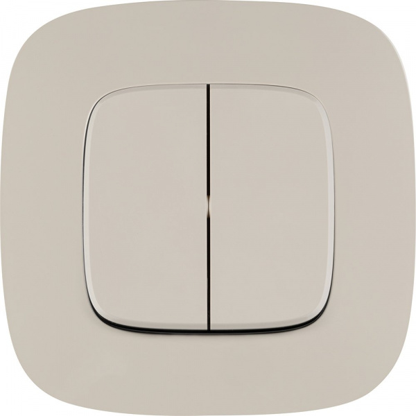 Legrand Valena ALLURE DIY Сл.кость Выключатель 2-х клавишный 10А 250В