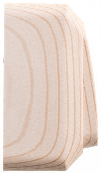 SE Этюд наруж Дача Сосна Выключатель 2-клавишный (сх. 5)