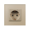 Arlight Розетка электрическая с Zigbee управлением SCT-OMALI-EUZB1-PL-GD (240V, 16A, Zigbee) (-)