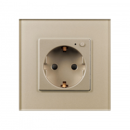 Arlight Розетка электрическая с Zigbee управлением SCT-OMALI-EUZB1-PL-GD (240V, 16A, Zigbee) (-)