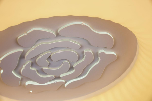 Потолочный светодиодный светильник Escada 10284/S LED