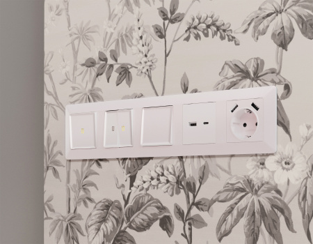 Лицевая панель ALFA (Жемчуг) для розетки 2USB тип A+C QUANT AP2110