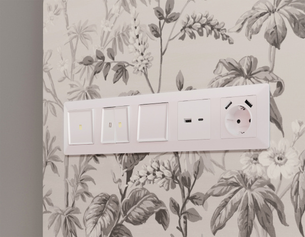 Лицевая панель ALFA (Жемчуг) для розетки 2USB тип A+C QUANT AP2110