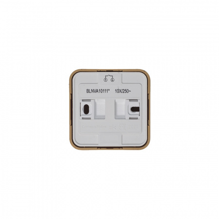 SE Blanca наруж Ясень Выключатель 1-клавишный с подсветкой 10А,250B, изолир. пластина