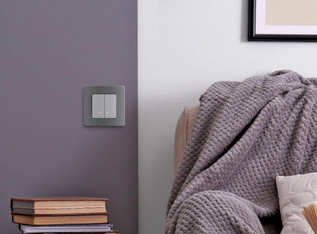 Legrand INSPIRIA Алюминий Выключатель двухклавишный с подсветкой/индикацией 10 AX - 250 В