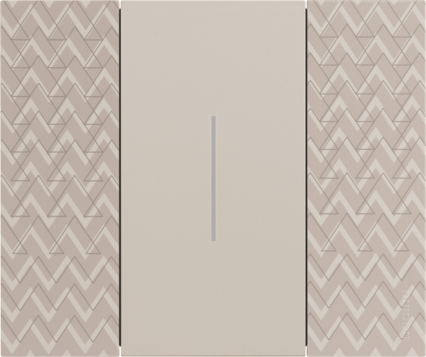 BT Living now Оптик Рамка немецкий стандарт 2 мод