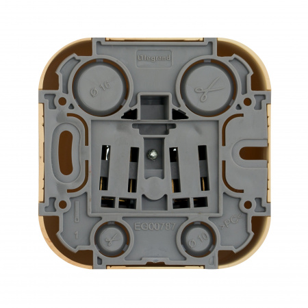 Legrand Quteo Сосна Розетка б/з