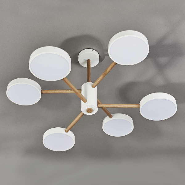 Потолочная светодиодная люстра Escada Astrid 10236/6LED