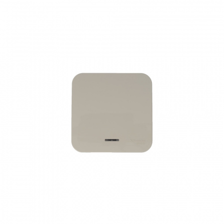 SE Blanca наруж Беж Выключатель 1-клавишный (cх.1) с подсветкой, изолир. пластина 10А,250B