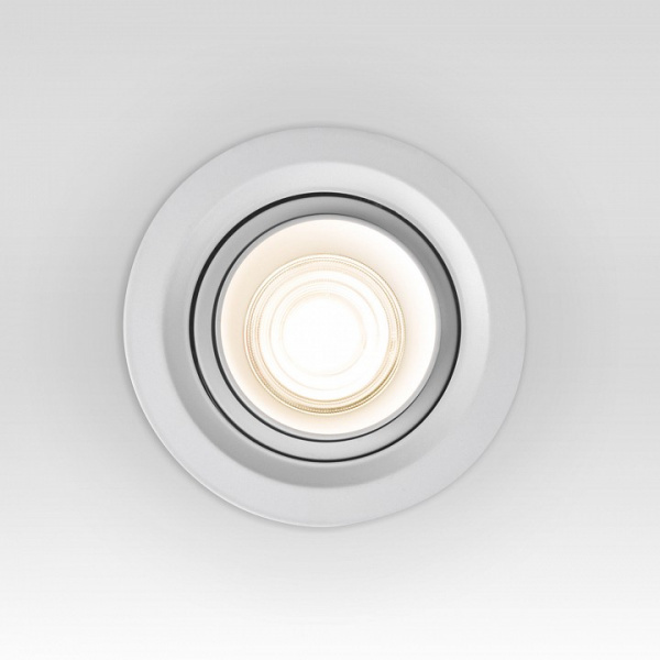 Потолочный светодиодный светильник 9919 LED 10W 3000K белый 9919 LED Elektrostandard Zoom a064031