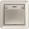 Systeme Electric Wessen 59 Шампань Выключатель карточный 16А (в сборе, с рамкой)