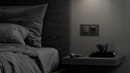 Simon S82 Concept Матовый титан, Клавиша для выключателя