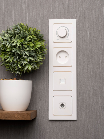 EKF PROxima Стокгольм Белый Линия шампань Рамка 4-ая