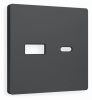 Лицевая панель ALFA (Графит Мягкое касание) для розетки 2USB тип A+C QUANT AP9110
