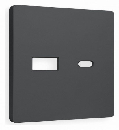 Лицевая панель ALFA (Графит Мягкое касание) для розетки 2USB тип A+C QUANT AP9110