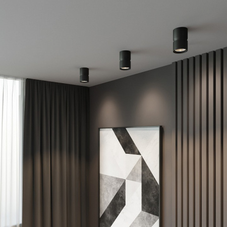 Светильник потолочный светодиодный Kayo 25049/LED 12W 4000К чёрный 25049/LED Elektrostandard Kayo a064729