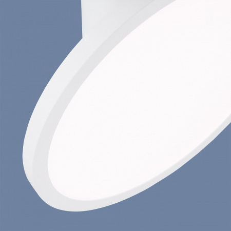 Накладной светодиодный светильник DLS029 Elektrostandard Brain a047771