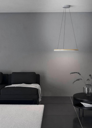 Подвесной светодиодный светильник Eglo Cadegal 39896