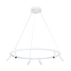 Подвесная светодиодная люстра Arte Lamp Ring A2186SP-1WH