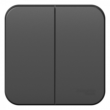 SE Blanca наруж Антрацит Выключатель 2-клавишный 10А, 250B, изолир. пластина