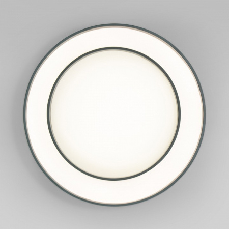 Потолочный светильник 90331/2 серый Eurosvet Force